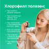 Хлорофилл x5 усиленный концентрат 50 мл Хлорофилл x5 усиленный концентрат 50 мл