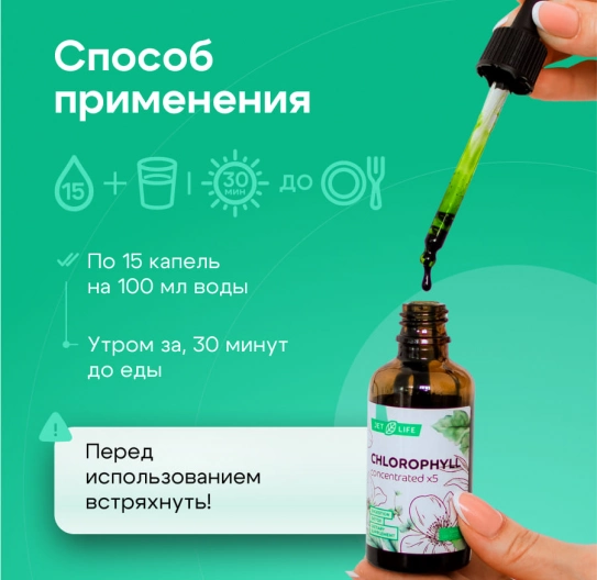 Хлорофилл x5 усиленный концентрат 50 мл Хлорофилл x5 усиленный концентрат 50 мл